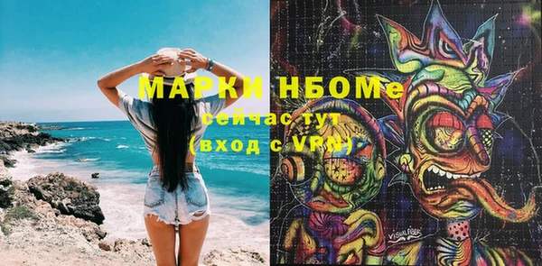 шишки Алексин